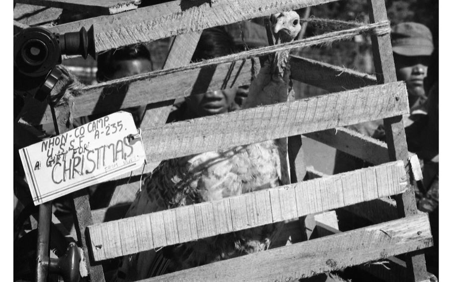 A live turkey was sent as a Christmas present to the Green Berets of Detachment 35, “B” Company, 5th Special Forces Group at Nahon Cho, South Vietnam, Dec. 21, 1968. Hopefully, they knew what to do with it.