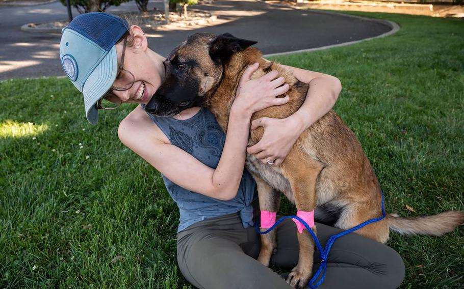 Erin Wilson hugs her young Belgian Malinois named Eva who was injured from fighting a mountain lion in rural Trinity County after the dog was released to go home Thursday, May 19, 2022, after being cared for at the VCA Asher animal hospital in Redding, California. Wilson said Eva saved her life after a mountain lion clawed her shoulder while they were walking along the Trinity River.