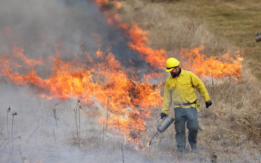 A park ranger lights grass on fire as the New Jersey Forest Fire Service does a prescribed burn at Natirar Park in Peapack-Gladstone, N.J., on Feb. 7, 2023.