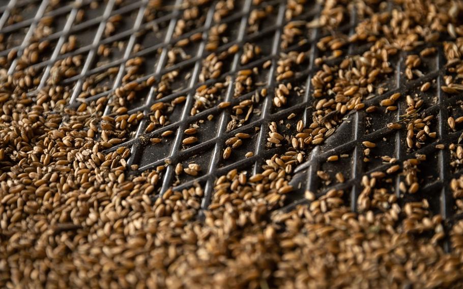 Grains of harvested wheat in a storage barn in Polykastro, Greece, on July 1, 2022. 