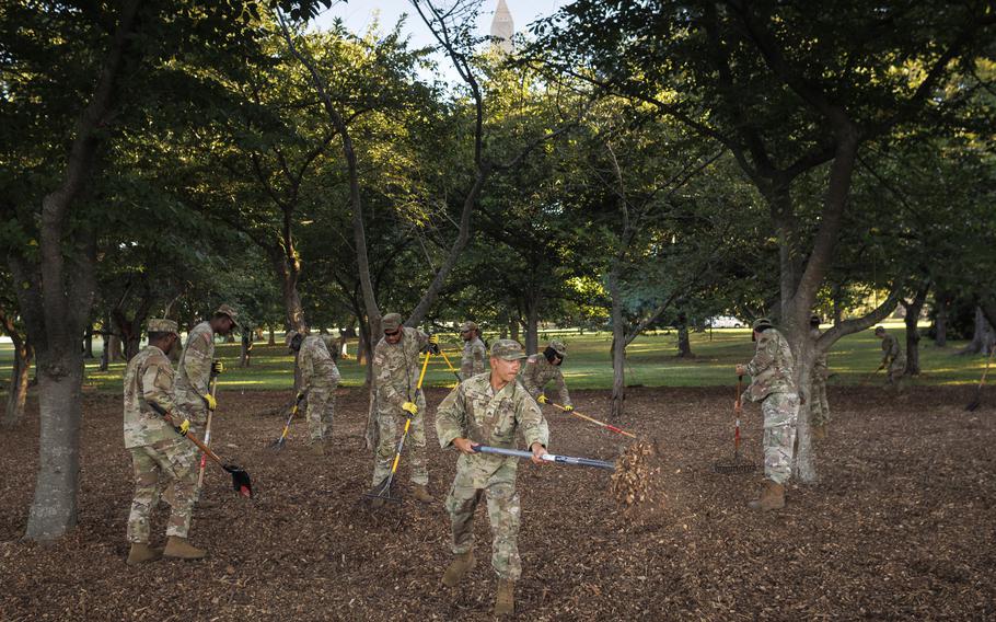 Soldiers working a mulchy area.