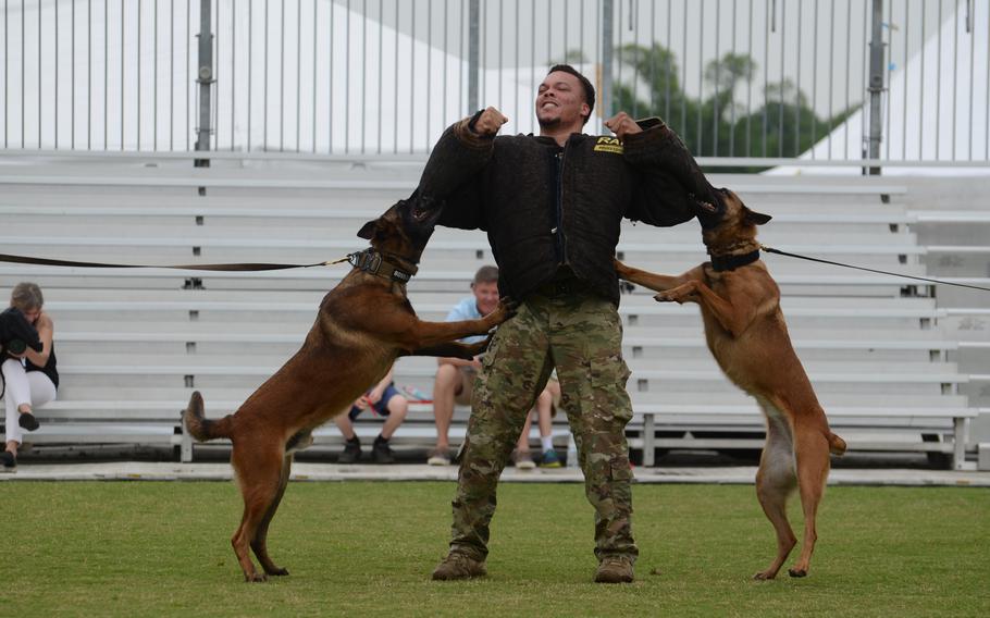 Military working dogs Boss, left, and Limra, right, work on attack training with Staff Sgt. De’Quan Roland-Hoover. The Military Working Dog unit of the 316 Security Group from Joint Base Andrews, Md., gave a demonstration on the final day of the “Welcome Home” event in Washington, D.C., for Vietnam veterans, marking the 50th anniversary of the war ending.