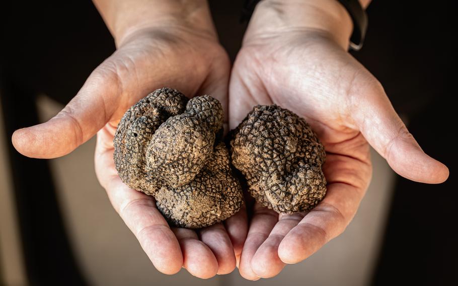 Truffles are a food people tend to either love or hate. 