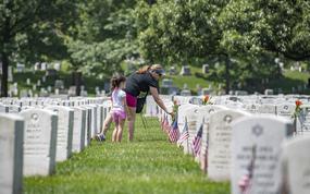 A volunteer places flowers at headstones from the Memorial Flower Foundation in Section 12 of Arlington National Cemetery, Arlington, Virginia, May 26, 2019. Every year over Memorial Day weekend, over 142,000 visitors come to Arlington National Cemetery to honor those who are laid to rest in these hallowed grounds. (U.S. Army photo by Elizabeth Fraser / Arlington National Cemetery / released)