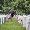 A volunteer places flowers at headstones from the Memorial Flower Foundation in Section 12 of Arlington National Cemetery, Arlington, Virginia, May 26, 2019. Every year over Memorial Day weekend, over 142,000 visitors come to Arlington National Cemetery to honor those who are laid to rest in these hallowed grounds. (U.S. Army photo by Elizabeth Fraser / Arlington National Cemetery / released)