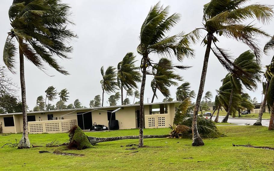 Typhoon Mawar toppled trees at Andersen Air Force Base, Guam, where it arrived with winds of about 150 mph on Wednesday, May 24, 2023.