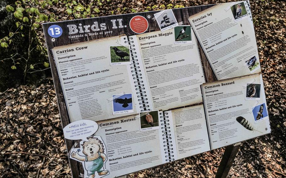 One of 13 signs along the newly opened nature trail provides information on five local bird species at Ramstein Air Base, April 23, 2024. Each sign is crafted to engage students with fun facts and important ecological knowledge.