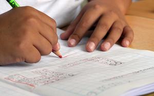 The 2024 National Defense Authorization Act directed the GAO to examine how well DODEA is meeting the special education needs of its students and to identify key obstacles. 