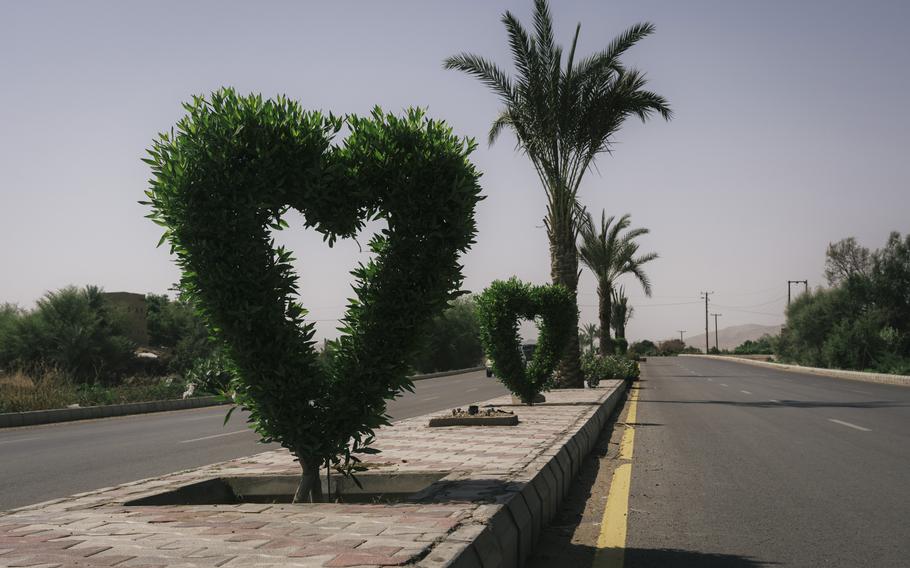 In Marib, a battle-ravaged city and the last major stronghold in Yemen's north, heart-shaped trees mark the median. MUST CREDIT: Photo for The Washington Post by Lorenzo Tugnoli