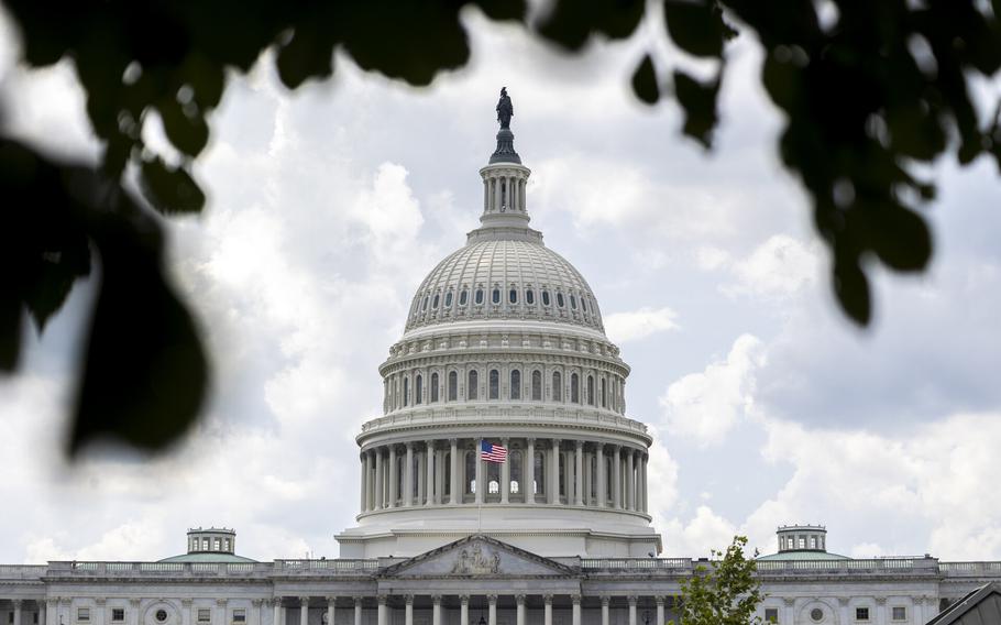 The U.S. Capitol dome behind tree leaves.