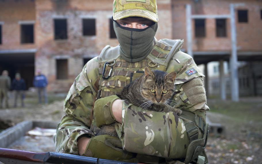 A member of the Ukrainian Territorial Defense Forces on Nov. 2, 2022, holds Combat Cat, a feline companion that lives next to a military training site outside Kyiv, Ukraine. 