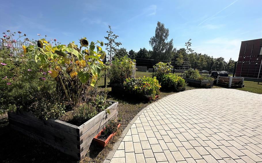 The gardens at the new Grafenwoehr Elementary School are planted and maintained by the students and used for classroom instruction. The school in Grafenwoehr, Germany, has 400 students in preschool through fifth grade.