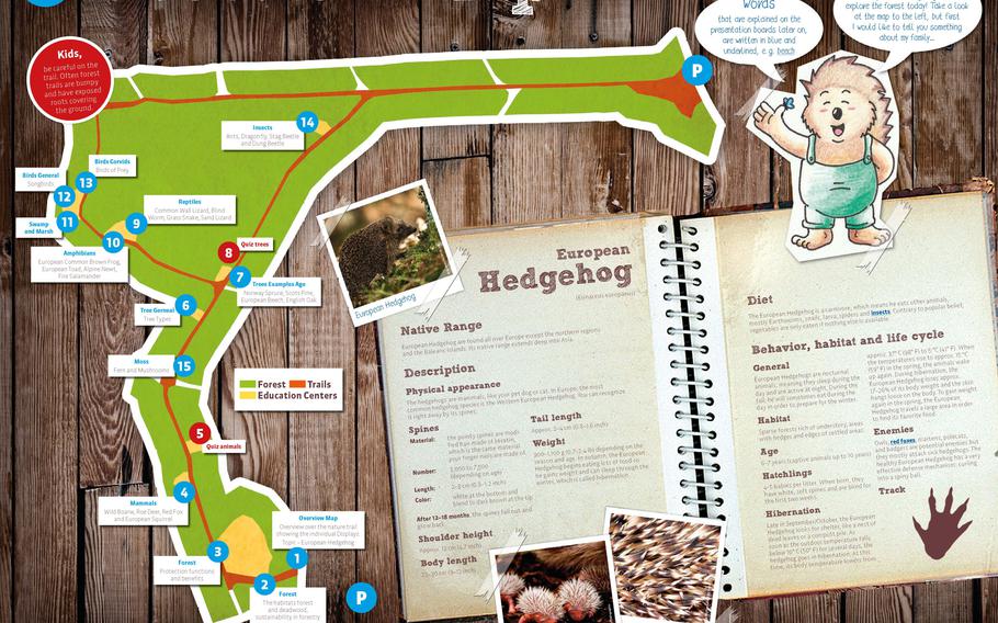 An overview map displays the mile-long path through the Ramstein Air Base’s forest, starting from Michigan Avenue in the Ramstein housing area and highlighting the thirteen educational stations along the way. This visual guide helps visitors navigate the trail and learn about the local ecosystem, fostering a deeper connection with nature. 