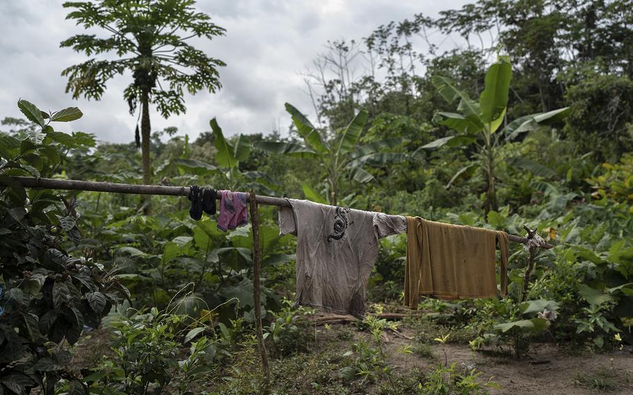 Clothes are left hanging amid illegal coca crops in Ucayali, Peru.