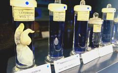 Parasites in jars are on displaty at the Meguro Parasitological Museum in Meguro, Tokyo, Japan, on June 23, 2022. 