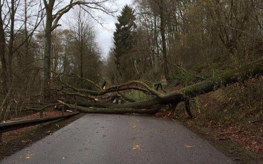 Strong winds caused disruptions in Westpfalz on Monday evening, knocking down trees and signs, and blowing tables and chairs from a café into a nearby pedestrian zone. 