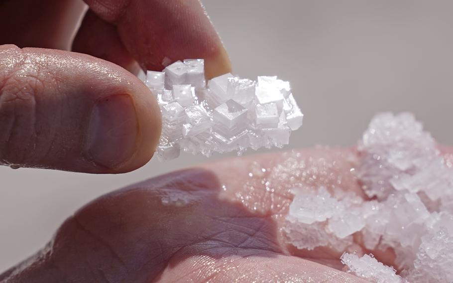 Jeremiah Bernau, a Utah State biologist, holds salt crystals at the Bonneville Salt Flats on Monday, Aug. 29, 2022, near Wendover, Utah. The glistening white salt of the world famous area is shrinking near the Utah-Nevada line. 
