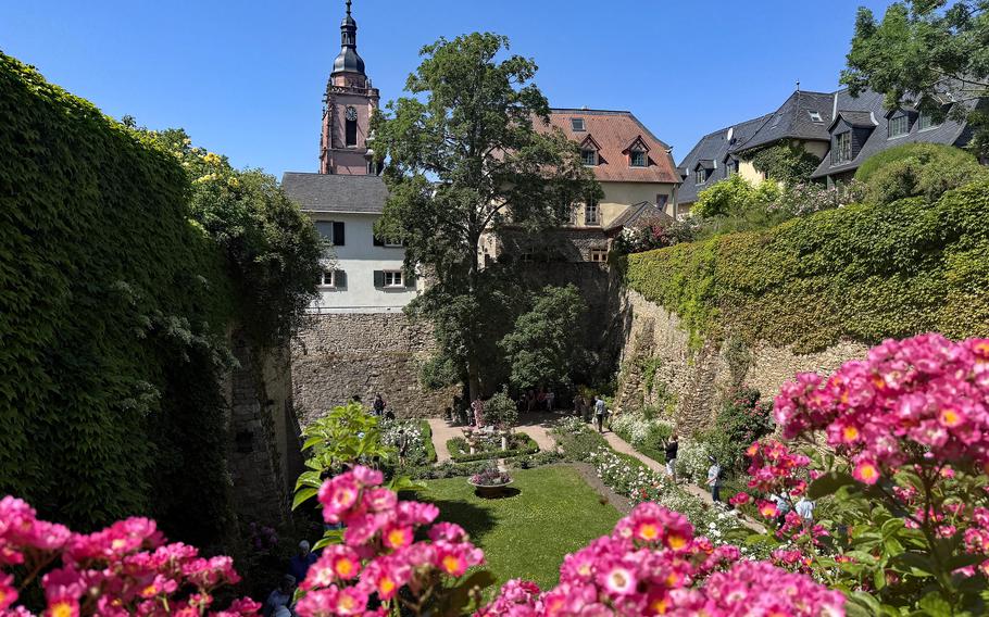 Roses bloom on a bridge with a church in the background.
