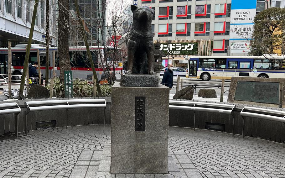 The statue of Hachiko outside Shibuya Station, close by the madness of the Shibuya Scramble intersection, is one of the most popular meeting places in Tokyo.