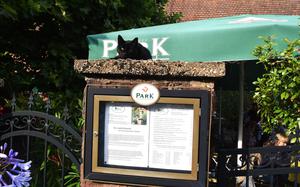 A black cat sits perched on top of a stone restaurant menu display board. The menu board shows German text and is surrounded by lush green foliage, with decorative iron railings visible to the left and colorful flowers in the foreground.