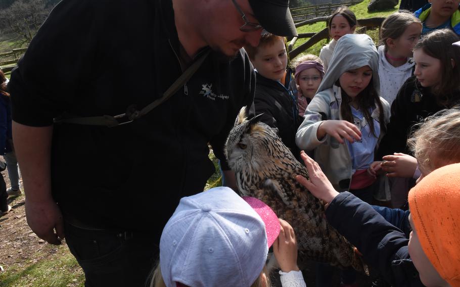 Children get a close look at a Eurasian eagle-owl April 5, 2023, at Freisen Nature Wildlife Park in Saarland, Germany. Birds of prey including bald eagles and vultures are part of a raptor show daily at the park.