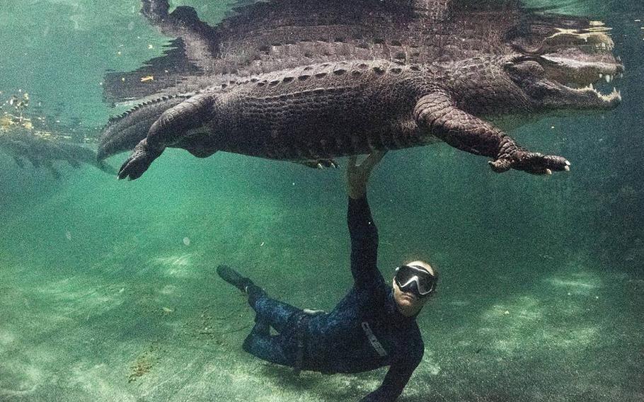 Chris Gillette, wildlife biologist and alligator trainer, poses with Casper after an Underwater Gator Tour at the Everglades Outpost with alligators he has trained inside an enclosure on June 10, 2022, in Homestead, Florida. Gillette rescues wild alligators, so he knows how to handle them if something goes wrong. Gillette rescued Casper and has trained him to listen to certain commands.