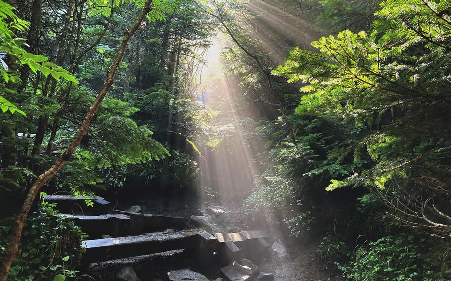 Morning mist beckons hikers along the trail to Mounta Asama, Japan, on July 29, 2023.