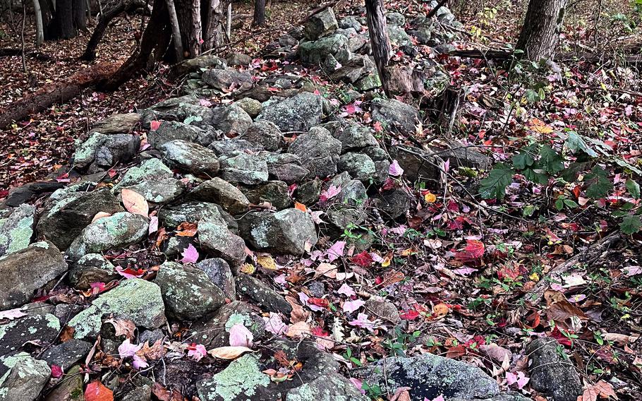 A stone wall courses through woods, once a farmer's field, where Union and Confederate troops fought savagely in September 1862.