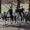161205-N-MD297-053 
ARLINGTON, Va. (Dec. 5, 2016) The Caisson platoon of the U.S. Army’s 3rd Infantry Divison, also known as the Old Guard, leads the funeral procession for prior Master Chief Petty Officer of the Navy (MCPON) William “Bill” H. Plackett as it proceeds through Arlington National Cemetery. Plackett, who became the Navy’s sixth MCPON on Oct. 1, 1985, died March 4, 2016, at the age of 78. (U.S. Navy photo by Petty Officer 2nd Class Huey D. Younger Jr./Released)