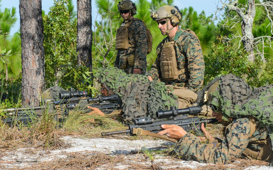 Marine infantry students at Camp Lejeune, N.C., practice setting up an ambush, as their instructor looks on, in a live-fire training event Aug. 27, 2021, during their 12th week of initial infantry training as part of a pilot program meant to drastically change the way the Corps trains its infantrymen. The pilot program expands infantry training from nine to 14 weeks and places Marines in 14-person squads under a single instructor.