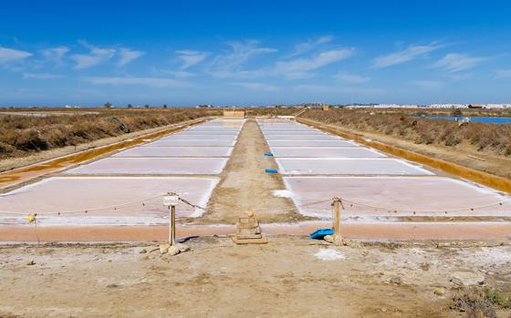 Rota Outdoor Recreation plans a tour July 19 of the Santa Teresa salt factory in Chiclana de la Frontera, Cadiz, Spain. There, visitors can learn about how saline artisans obtain salt by traditional methods, take a paddle board or kayak tour and get some salt therapy in various pools.