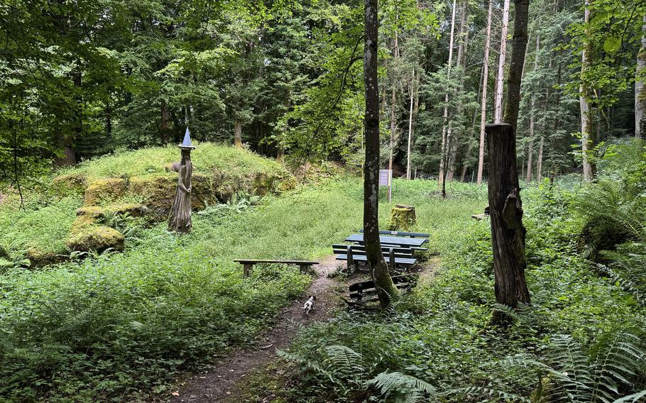 A clearing in the woods.