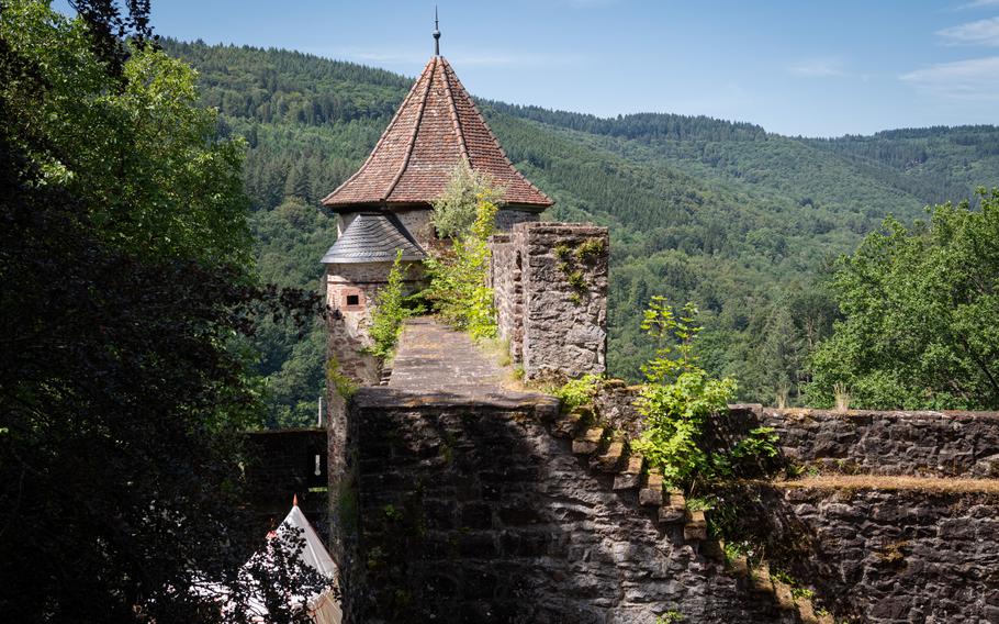 A view from the Hirschhorn castle ruins in Hirschhorn, Germany, July 8, 2023.