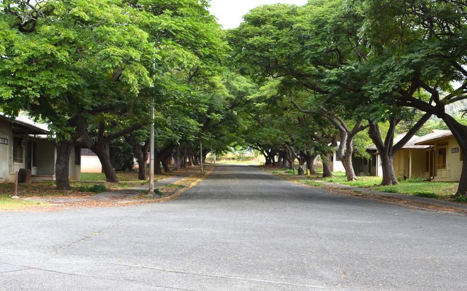 The Army is seeking to demolish World War II-era homes along this tree-lined street in Fort Shafter, Hawaii, to make way for a new grade school.