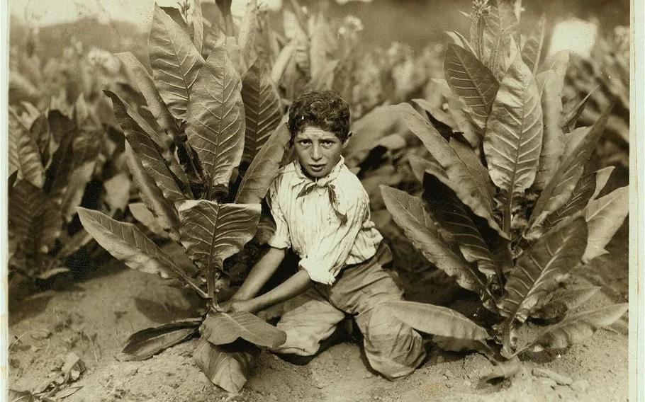 Hine photographed this 10-year-old boy on a tobacco farm in Connecticut in 1917.