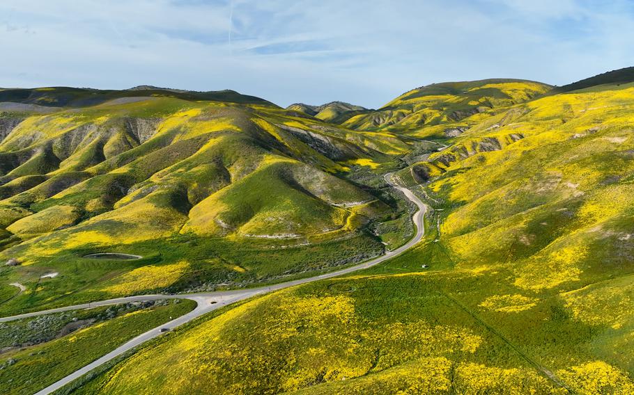 Wildflowers cover the hillsides at Carrizo Plain National Monument in Santa Margarita, Calif., as part of this year's epic, statewide "super bloom." 