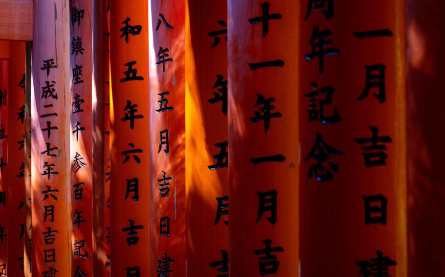 A collection of red torii gates.