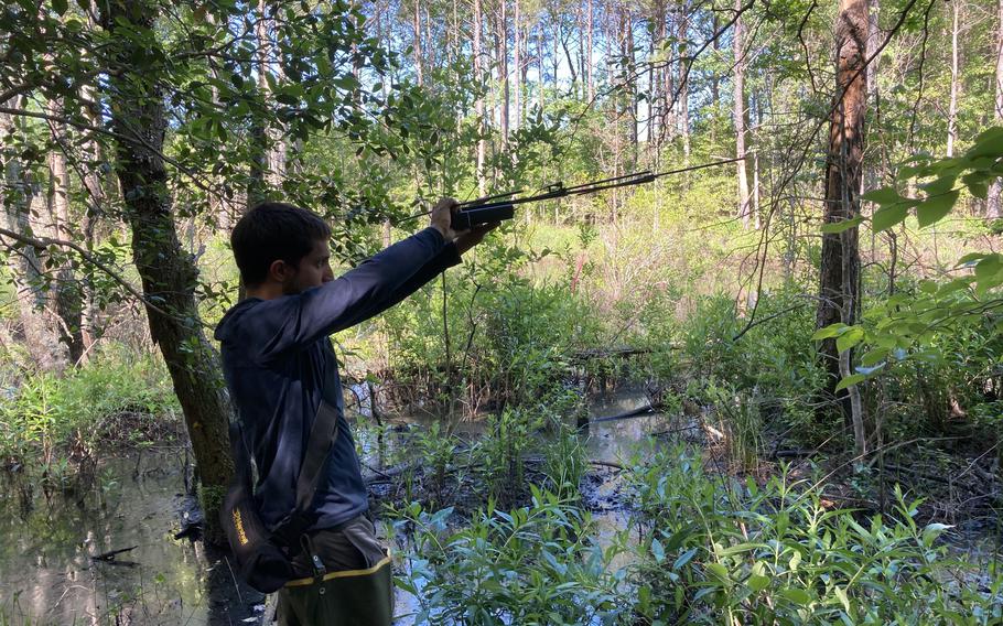 Wildlife biologist John Mayersky tracks down Spotted Turtle 962 for an update of Naval Weapons Station Yorktown's natural resources management plan.