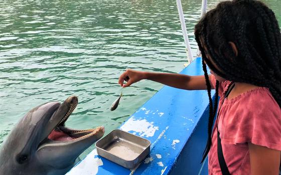 A dophin is rewarded for performing tricks at Shimoda Underwater Aquarium on the southern coast of Japan’s Izu Peninsula, May 29, 2023. 