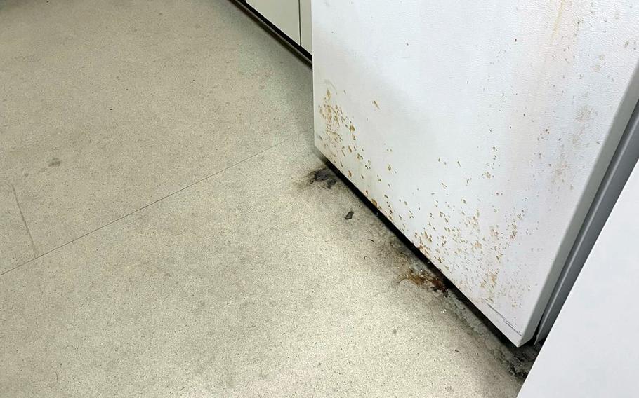 Photographs of quarantine quarters at Yokota Air Base, Japan, show a dirty bathroom, stained carpet, food waste spattered on kitchen floors and appliances, holes in the ceiling and walls and what looks like mold growing on fixtures.