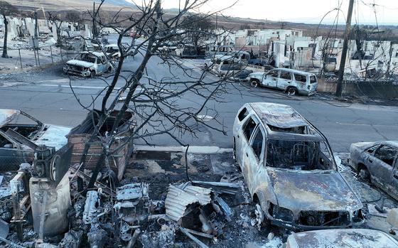 In an aerial view, burned cars and homes are seen in a neighborhood that was destroyed by a wildfire on Aug. 18, 2023, in Lahaina, Hawaii. At least 111 people were killed and thousands were displaced after a wind driven wildfire devastated the towns of Lahaina and Kula early last week. Crews are continuing to search for missing people. (Justin Sullivan/Getty Images/TNS)