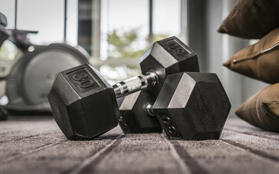 Stock image of 30 lb. hand weights on the ground. 
