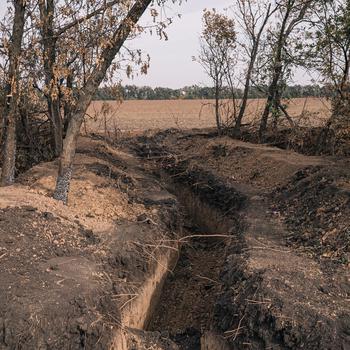 A trench within a tree line.