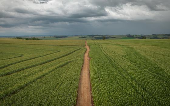 Corn fields on a farm near Londrina, Parana state, Brazil, on May 30, 2022. MUST CREDIT: Bloomberg photo by Jonne Roriz.