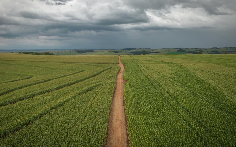 Corn fields on a farm near Londrina, Parana state, Brazil, on May 30, 2022.