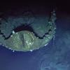 This chrysanthemum emblem was also found on the ship, indicating it belonged to the Japanese emperor, historians say. 