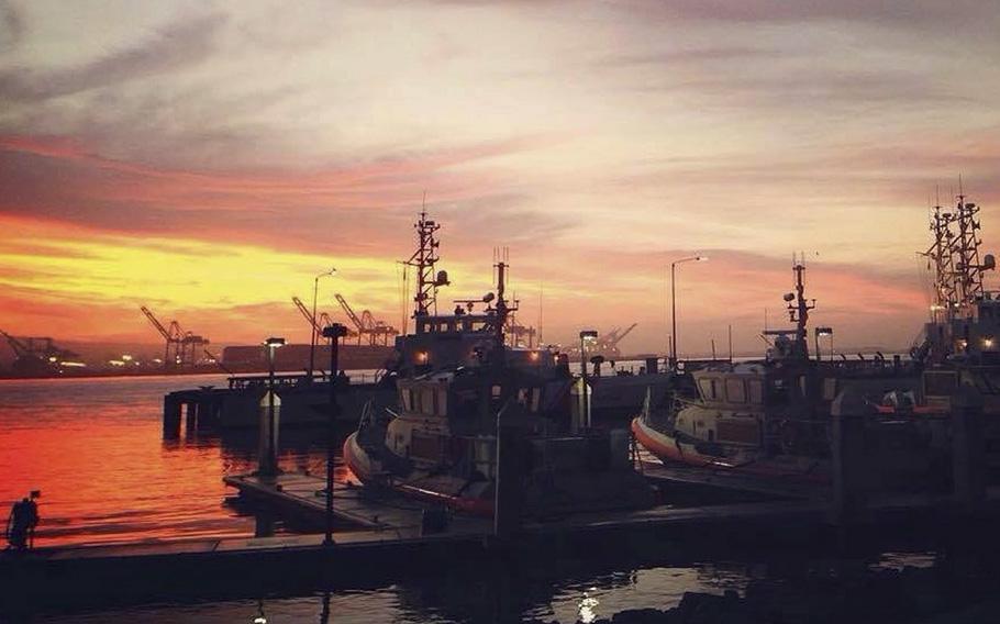 Coast Guard members assisted in the rescue of a man who fell off a San Francisco pier and was submerged for about 50 minutes on Tuesday, May 16, 2023.