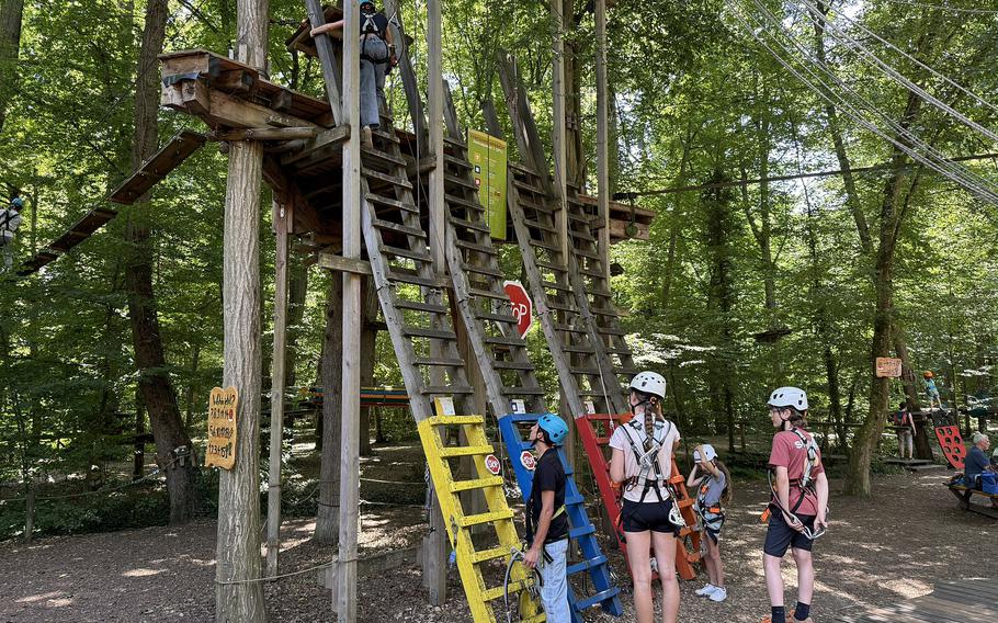 A forest adventure park where you can walk on ropes between trees.
