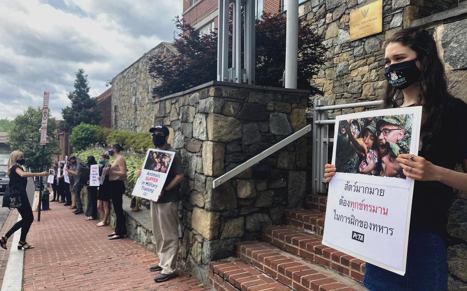 People for the Ethical Treatment of Animals on June 3, 2021, protested the killing of king cobras during the U.S.-Thai military exercise Cobra Gold. The protest took place outside the embassy of Thailand in Washington, D.C. 