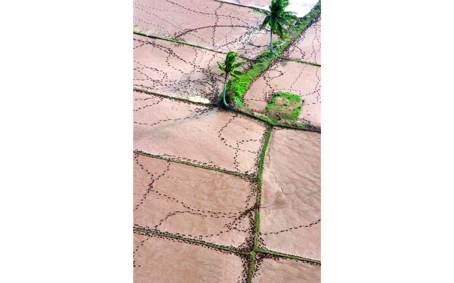 From the vantage of a helicopter, footprints in the knee-deep mud show the activity since storms and mudslides devastated the countryside. 